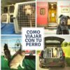 perros preparados para viajar