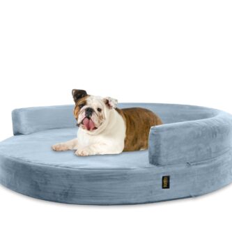 cama para perros