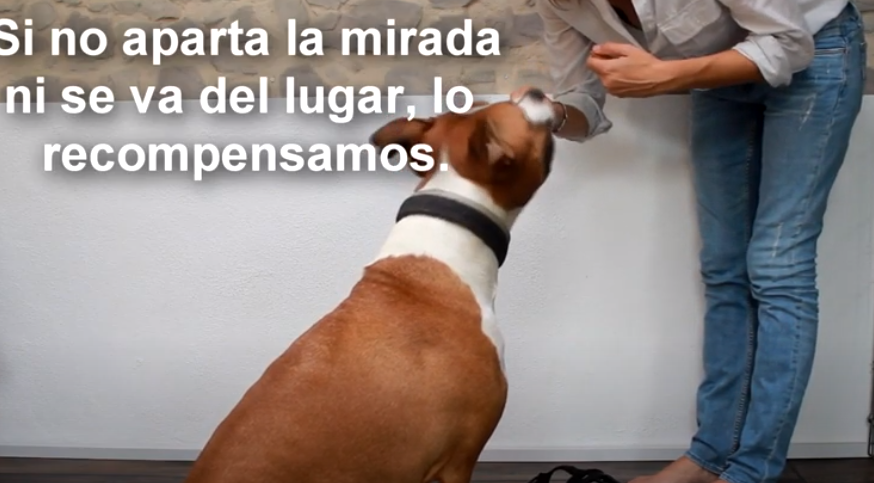 La imagen tiene un atributo ALT vacío; su nombre de archivo es para-la-página-nueva.png