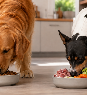 Dos perros comiendo de sus cuencos con comida natural